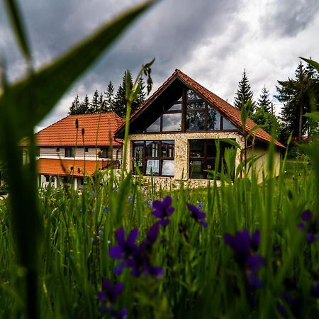 Pensiunea Romconcord Balcesti Eksteriør billede